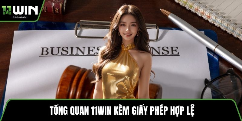 Tổng quan 11win kèm giấy phép hợp lệ